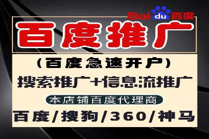 行业内的SEM竞价代运营公司优秀案例剖析